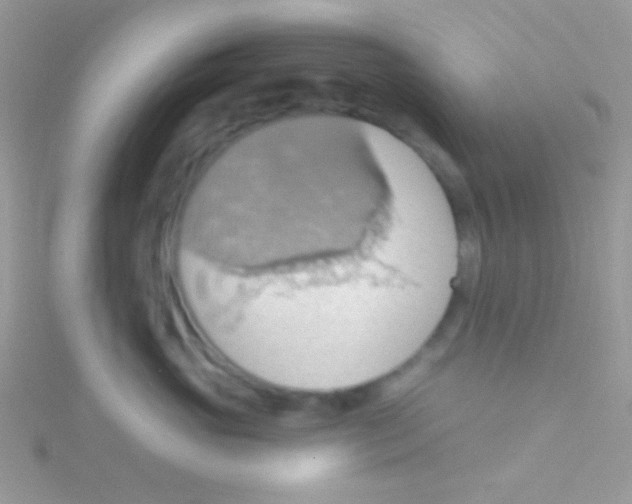 X0000115030765200911231112