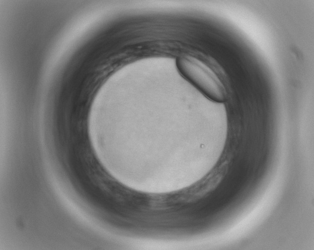 X0000115030766200911231112