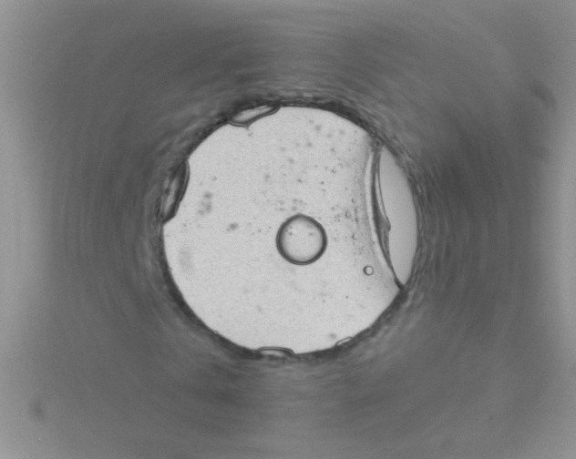 X0000115030769200911231112