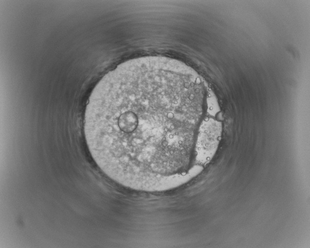 X0000115030772200911231112