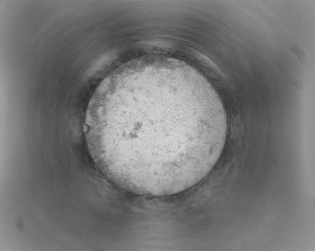 X0000115030774200911231112