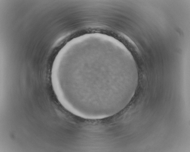 X0000115030775200911231112