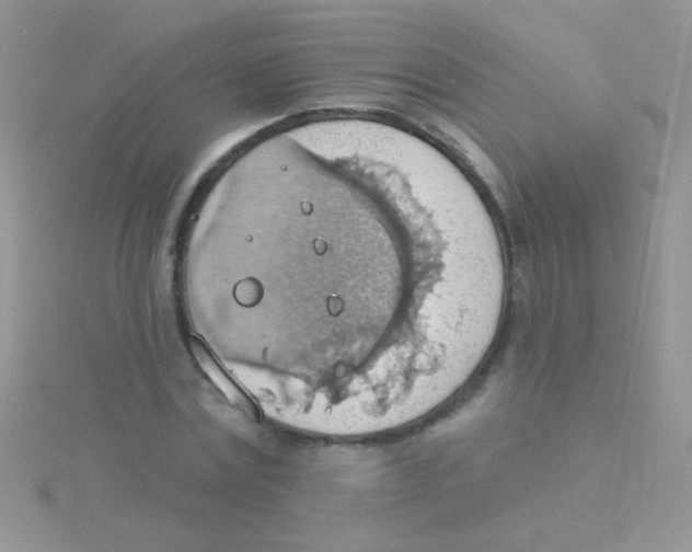 X0000115030779200911231112