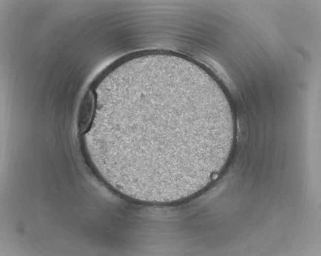 X0000115030780200911231112