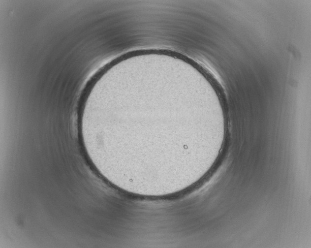 X0000115030781200911231112