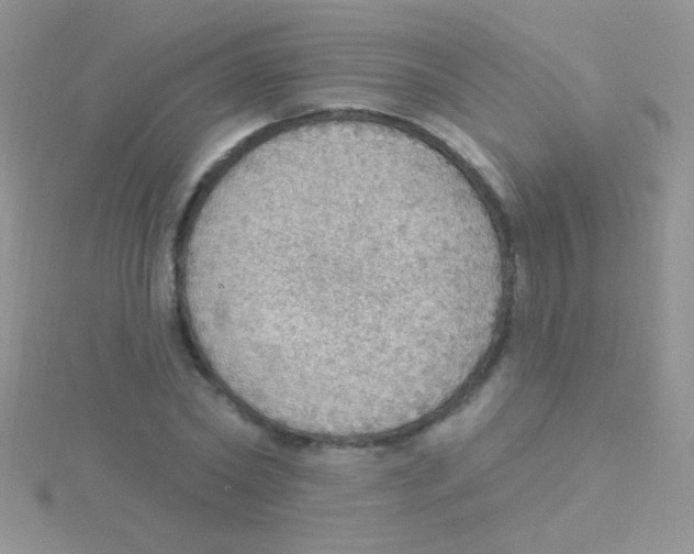 X0000115030782200911231112