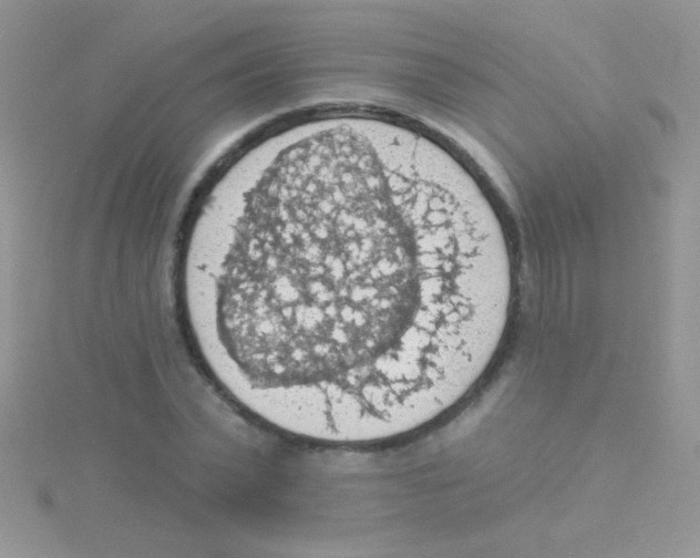 X0000115030783200911231112