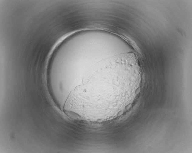 X0000115030784200911231112