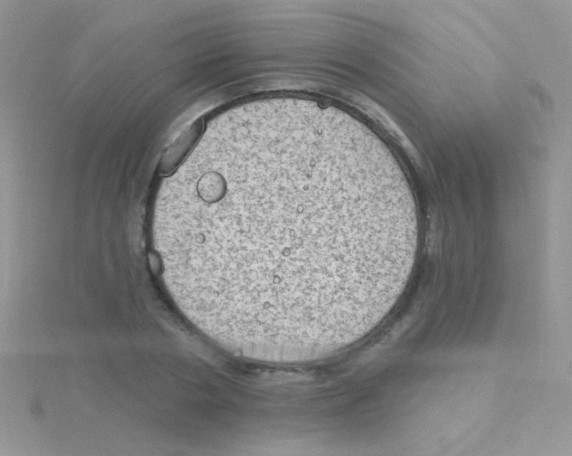 X0000115030786200911231112