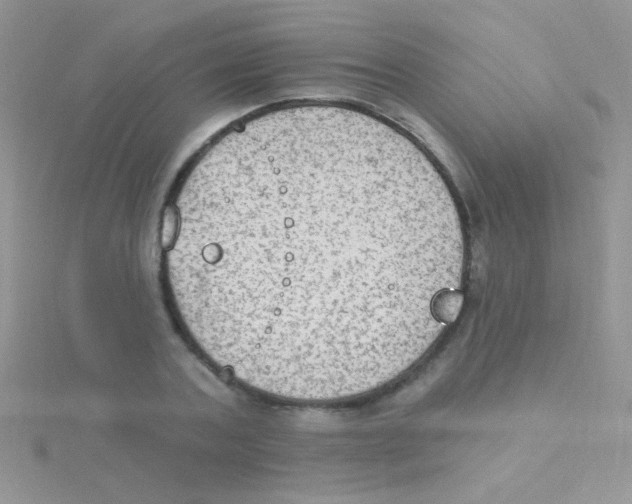 X0000115030787200911231112