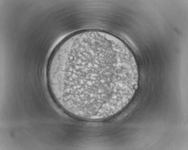 X0000115030788200911231112