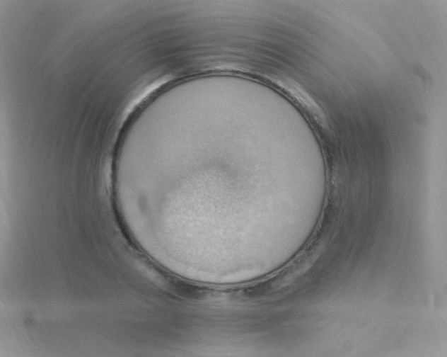 X0000115030790200911231112