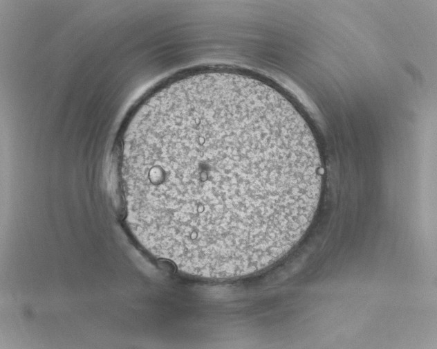 X0000115030791200911231112