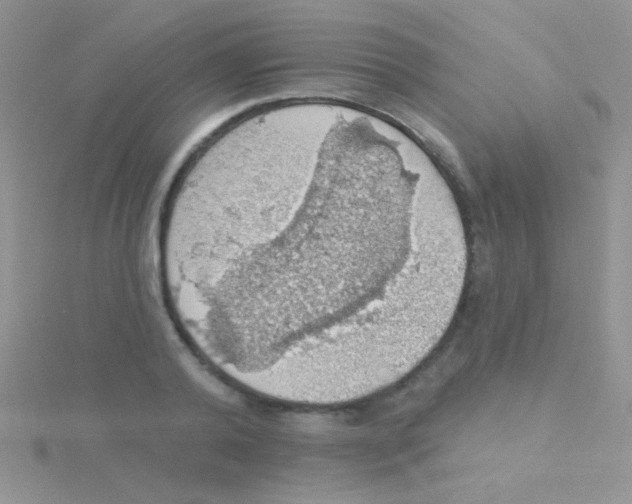 X0000115030792200911231111