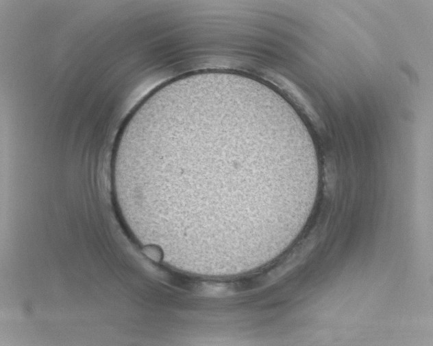 X0000115030794200911231111