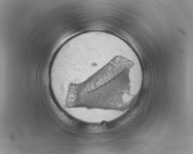 X0000115030795200911231111