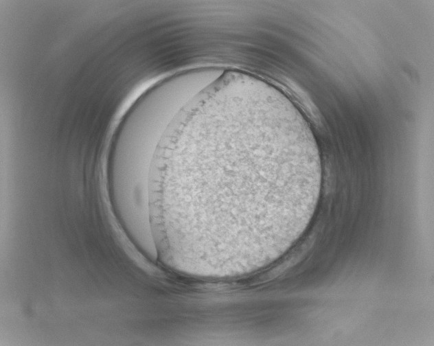 X0000115030796200911231111