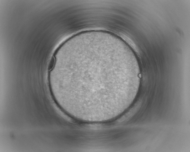 X0000115030797200911231111