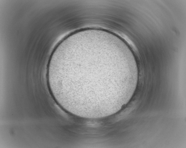 X0000115030799200911231111