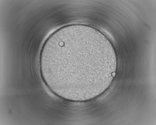 X0000115030800200911231111