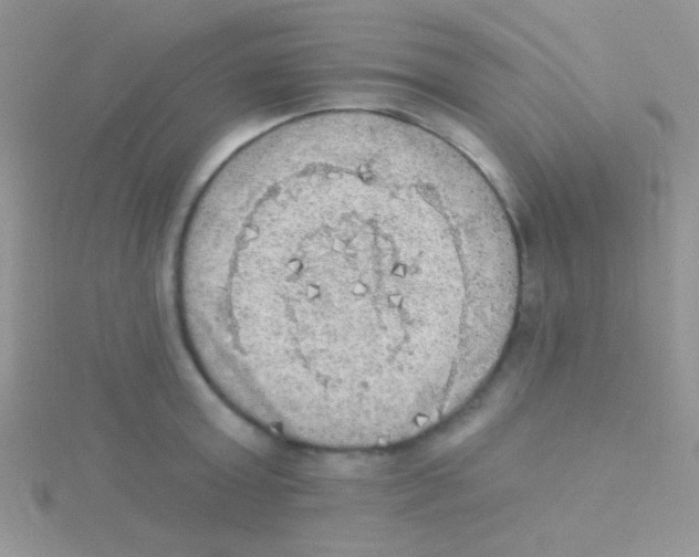 X0000115030803200911231111