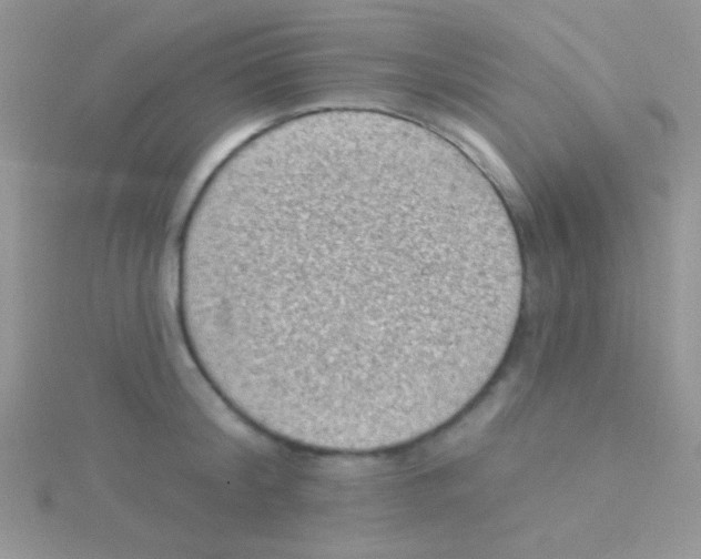 X0000115030804200911231111