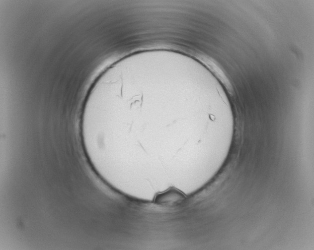 X0000115030805200911231111