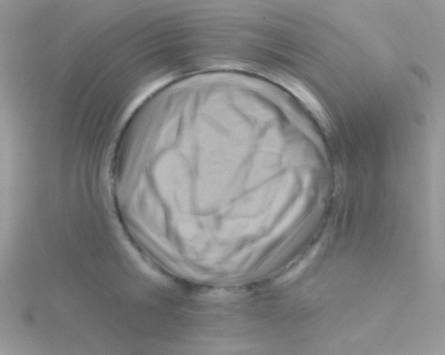 X0000115030806200911231111