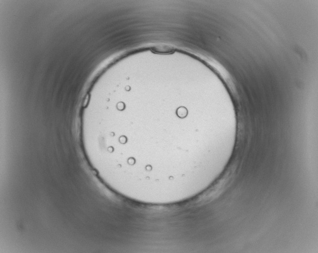 X0000115030807200911231111