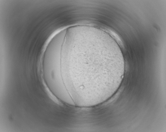 X0000115030808200911231111