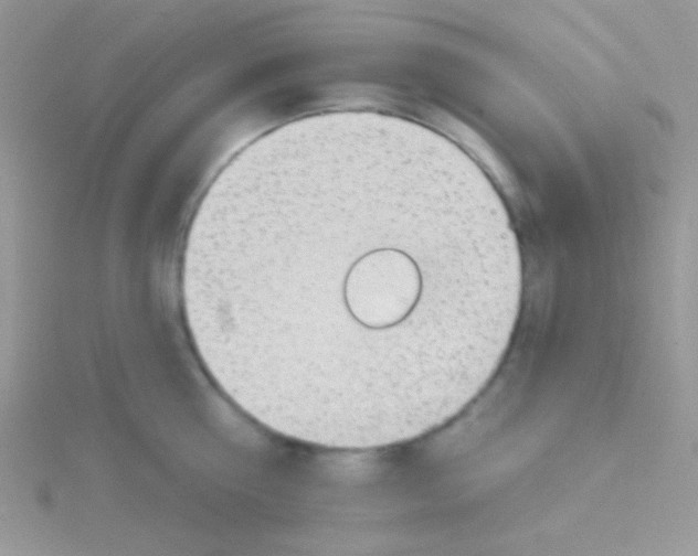 X0000115030810200911231111