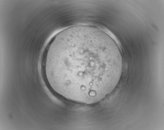 X0000115030811200911231111