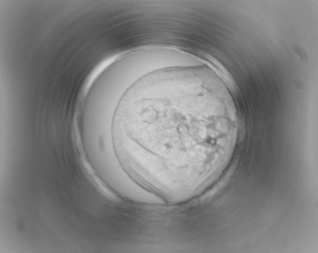 X0000115030812200911231111