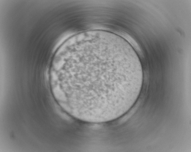 X0000115030814200911231111