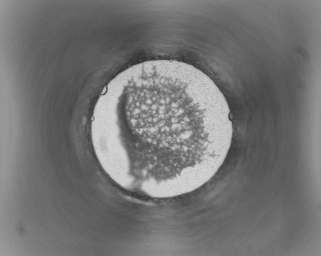 X0000115030817200911231110