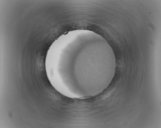 X0000115030818200911231110