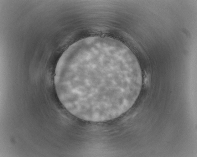 X0000115030819200911231110