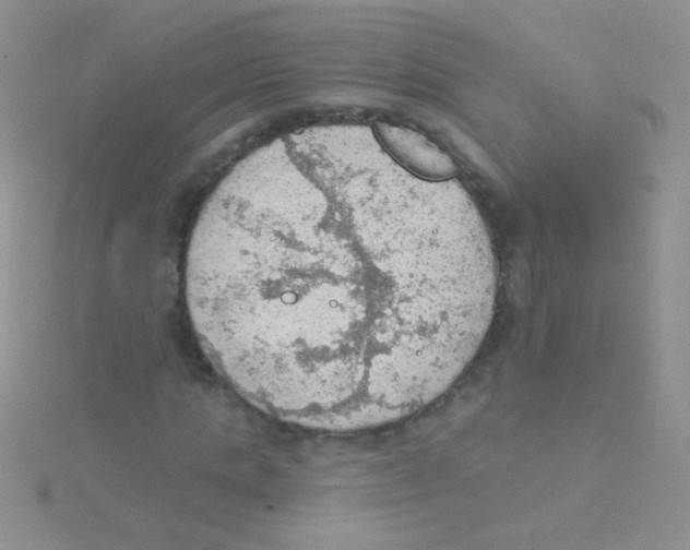 X0000115030821200911231110