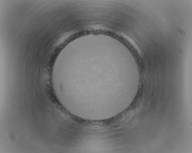 X0000115030823200911231111