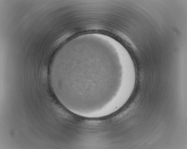 X0000115030825200911231111