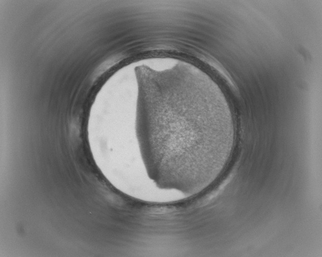 X0000115030826200911231111