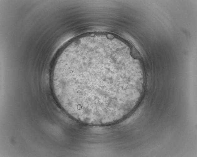 X0000115030827200911231111