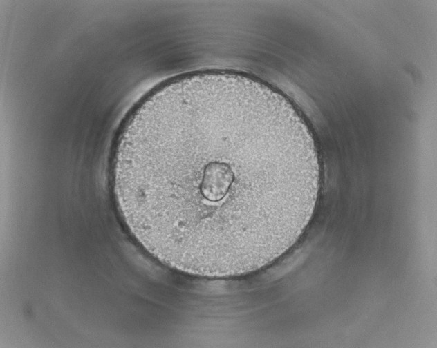 X0000115030828200911231111