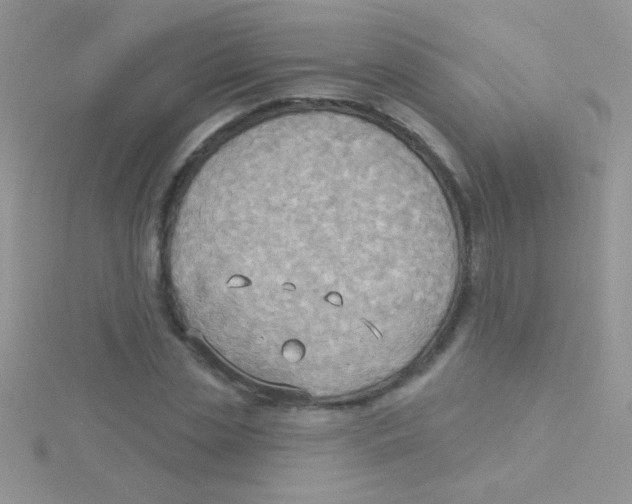 X0000115030829200911231111