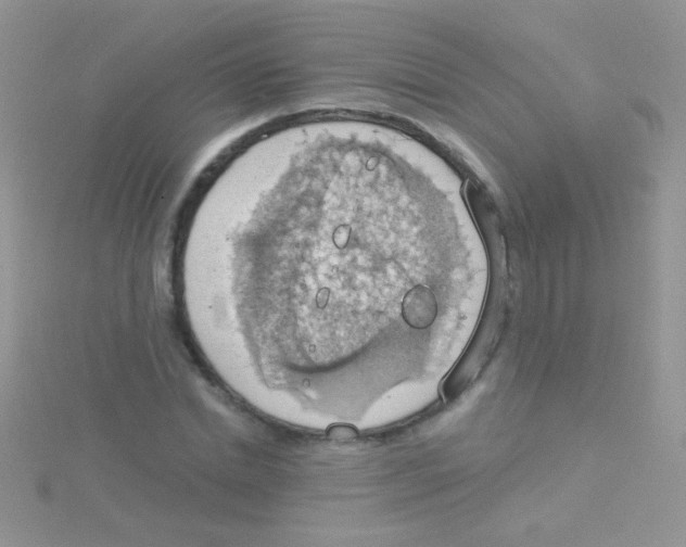 X0000115030830200911231111