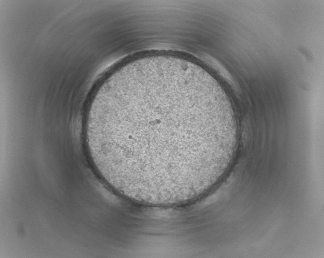 X0000115030831200911231111