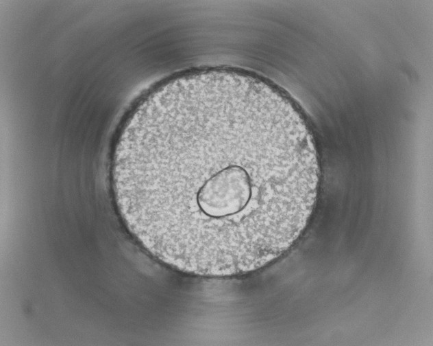 X0000115030832200911231111