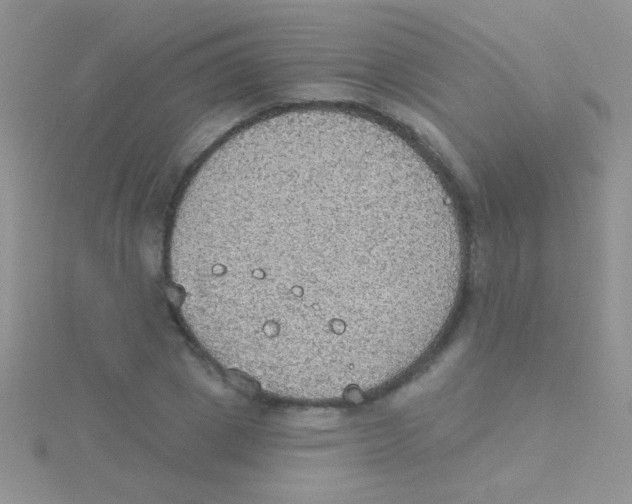 X0000115030833200911231111