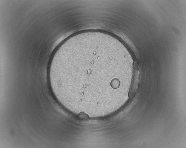 X0000115030834200911231111