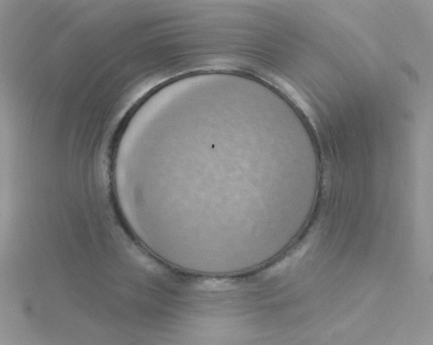 X0000115030835200911231111